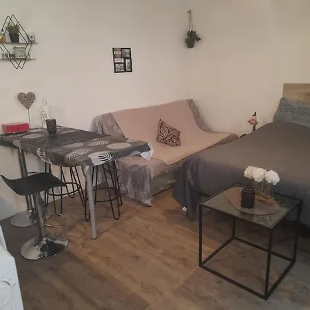 Cosy Proche Centre Mpl/ Pk Gratuit *