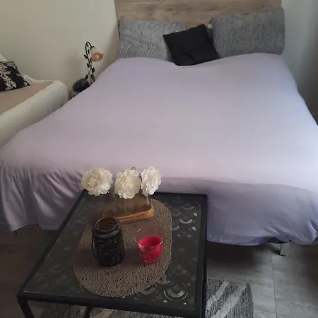 Cosy Proche Centre Mpl/ Pk Gratuit Appartement Montpellier